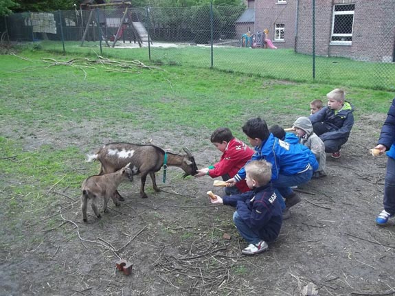 La Posterie - Secteur Enfance - Ferme